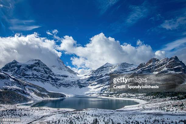 lake magog at mount assiniboine provincial park, canada - british columbia landscape stock pictures, royalty-free photos & images