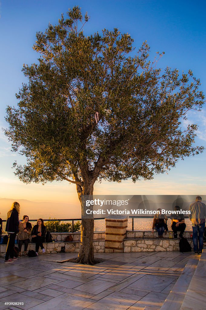 Lone Olive Tree at Sunset, Lycabettus Hill