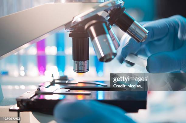 microscope - microscoop stockfoto's en -beelden