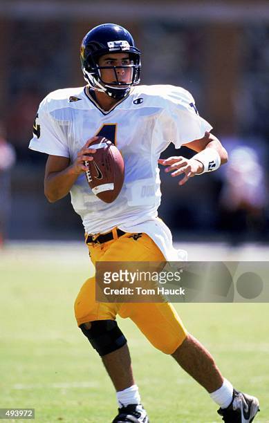 Marc Bulger of the West Virginia Volunteers moves back to pass the ball during the game against the Maryland Terrapins at Byrd Stadium in College...