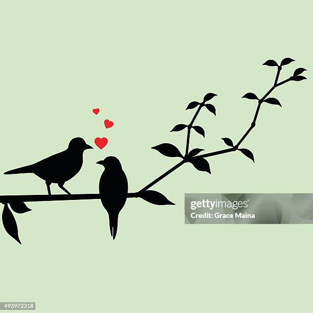 294点の求愛行動イラスト素材 Getty Images 294点の求愛行動イラスト素材 Getty Images
