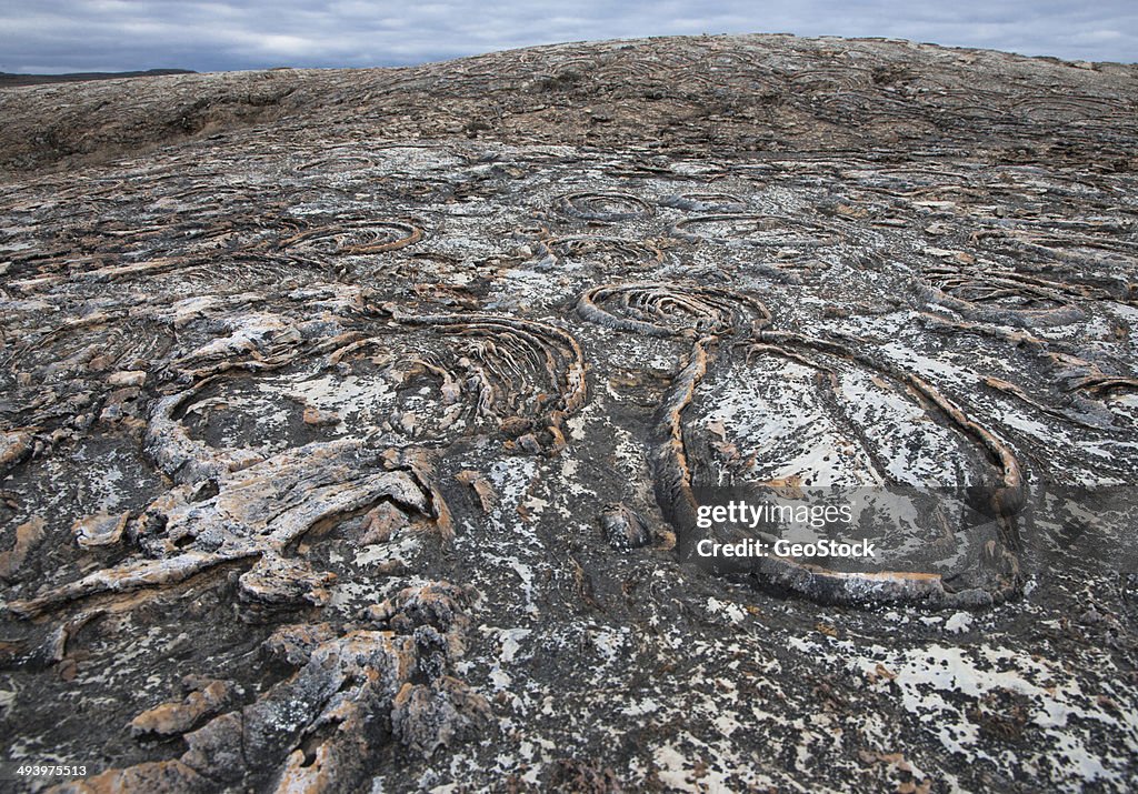 A close view of 1.9 billion year old stromatolites