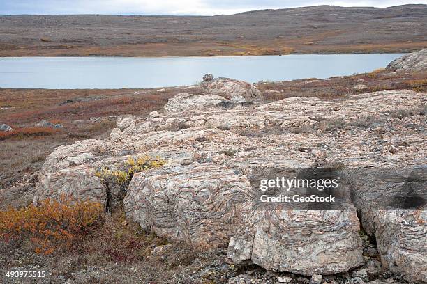 A Close View Of 19 Billion Year Old Stromatolites, 照片檔