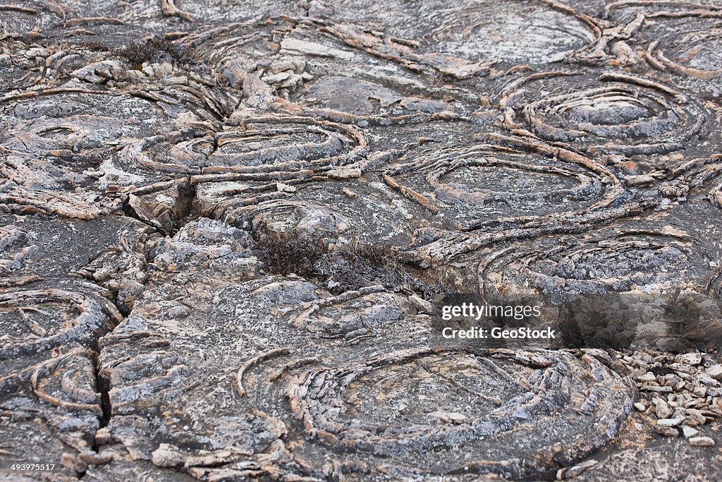 A close view of 1.9 billion year old stromatolites