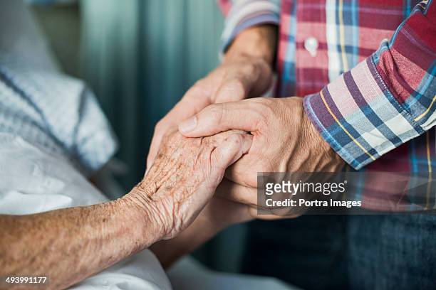 close up of son holding his mothers hands - affettuoso foto e immagini stock