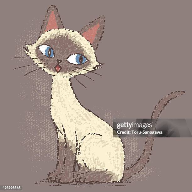 siamese cat sitting - pure bred cat stock illustrations