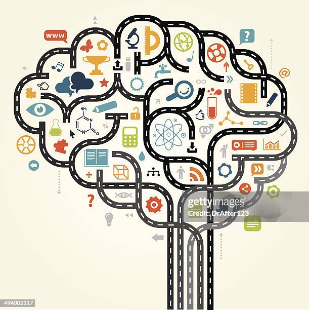 1,318 Brain Pathways Stock Photos, High-Res Pictures, and Images ...
