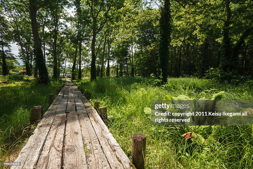 Onuma Quasi-National Park