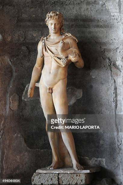Picture taken on October 24, 2015 shows a Dionysus statue at the excavation site of the Dionysiac Villa, also known as the Villa of Augustus, in...