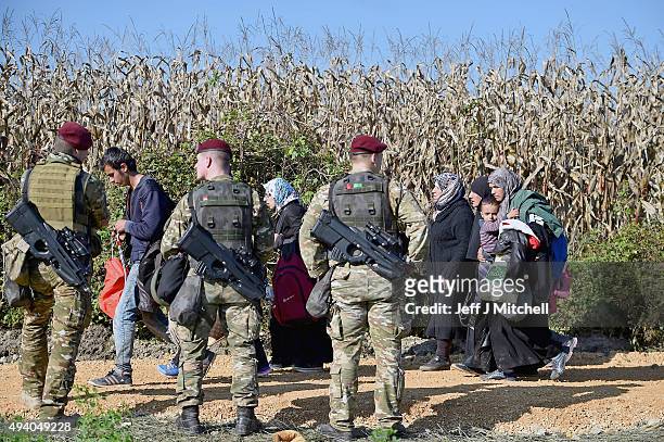 Migrants are escorted through fields by police and the army as they are walked from the village of Rigonce to Brezice refugee camp on October 24,...
