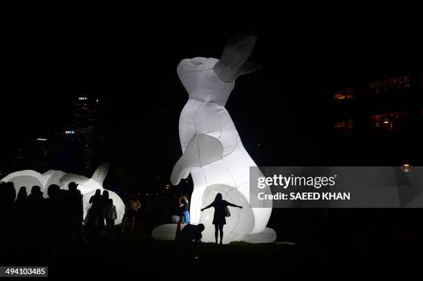 This picture taken on May 27, 2014 shows people watching the 'Vivid' light show in front of giant inflatable rabbits in Sydney. 'Vivid' is a major...