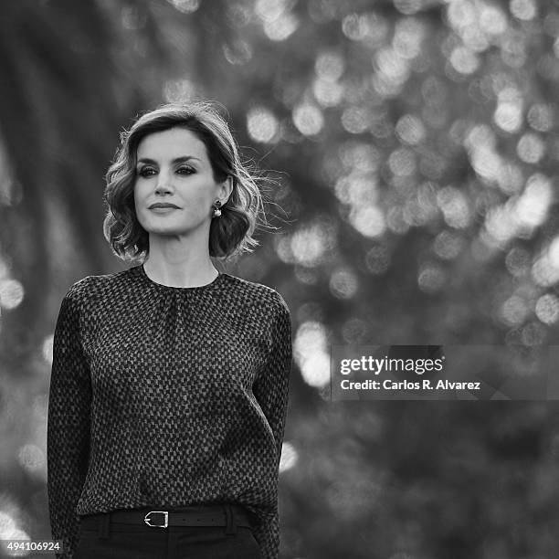 Queen Letizia of Spain visits 2015 Exemplary Town of Colombres on October 24, 2015 in Colombres, Spain. The village of Colombres was honoured as the...