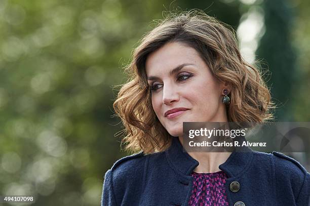 Queen Letizia of Spain visits 2015 Exemplary Town of Colombres on October 24, 2015 in Colombres, Spain. The village of Colombres was honoured as the...