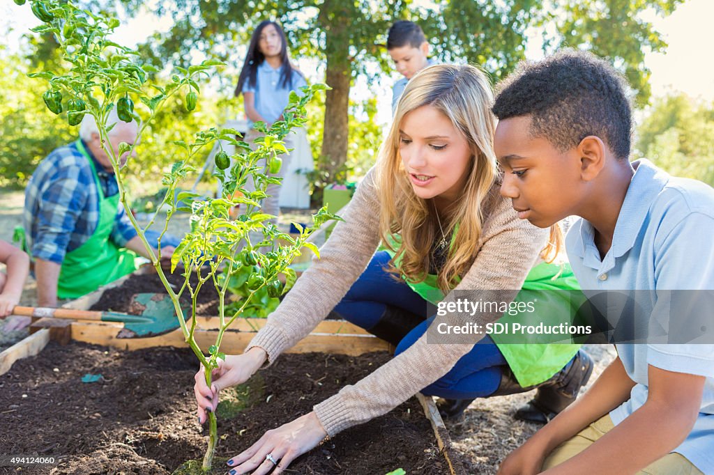 Teacher and student working in garden during farm field trip