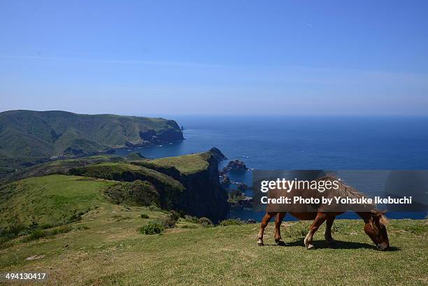 oki island - okinoshima stock pictures, royalty-free photos & images