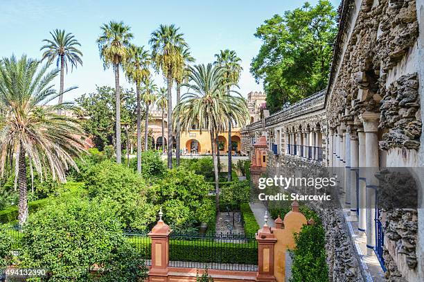 alcazar gardens in seville, spain - seville tiles stock pictures, royalty-free photos & images