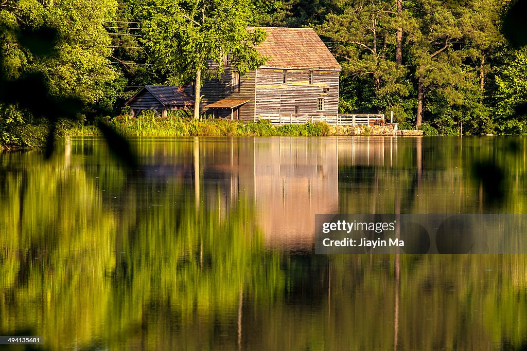 Water Reflection