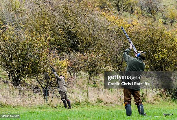 Two "guns" take aim at a pheasant and partridge shoot on October 23, 2015 in Oxfordshire, England. The UK pheasant shooting season begins on October...