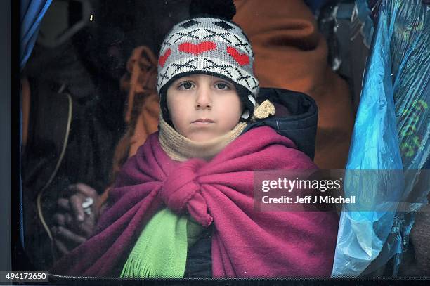 Migrants sit inside buses, after leaving Brezice refugee camp as they continue they journey north towards Austria on October 25, 2015 in Brezice,...