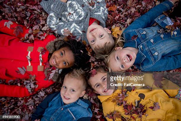 children lying in a circle in the leaves - kid looking down stock pictures, royalty-free photos & images