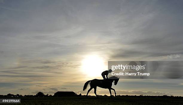 Runners make their way to the start at Wincanton Races on October 25, 2015 in Wincanton, England.