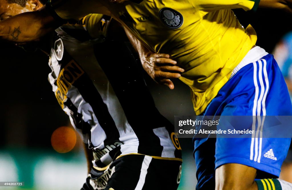 Palmeiras v Botafogo- Brasileirao Series A 2014