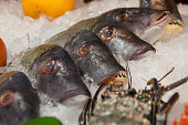 Wide selection of fish on seafood market display