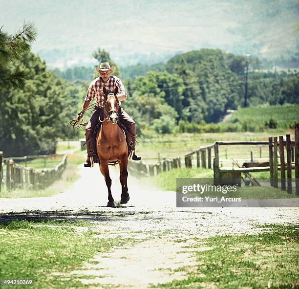 Man Riding Rocking Horse 1,778 Man Riding Horse Front Stock Photos, High-Res Pictures, and ...