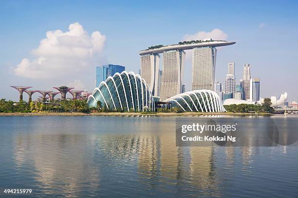 singapore skyline - gardens by the bay stock-fotos und bilder