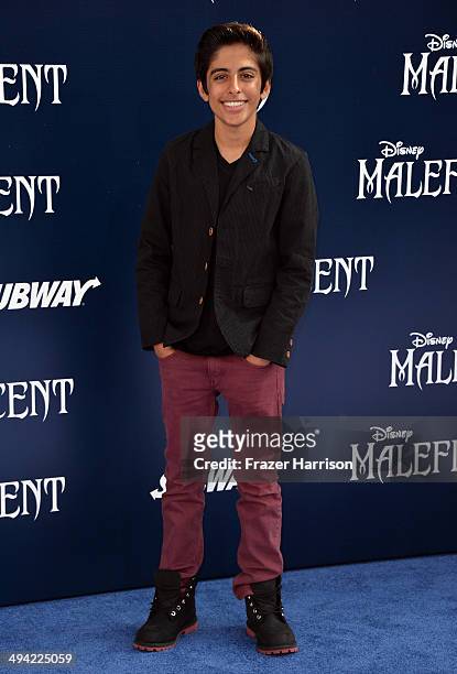 Actor Karan Brar attends the World Premiere of Disney's "Maleficent" at the El Capitan Theatre on May 28, 2014 in Hollywood, California.