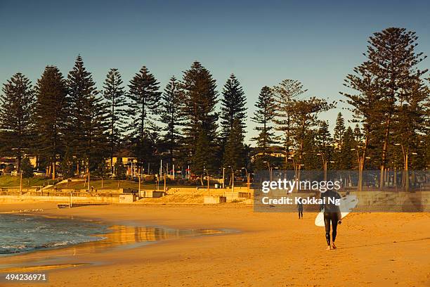 sydney's northern beaches - dee why beach - north sydney stock pictures, royalty-free photos & images