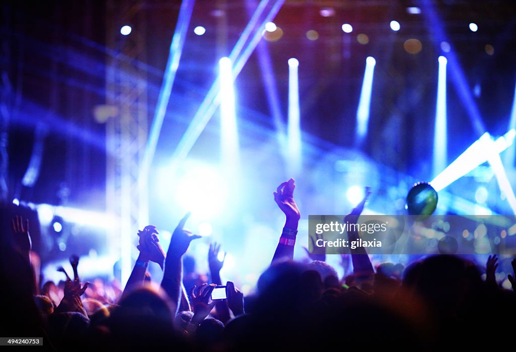 Crowd enjoying a concert.