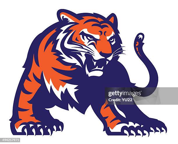 tiger - fighting stance stock illustrations