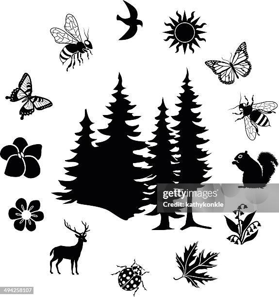 pine trees with nature ring border - pine beetle stock illustrations