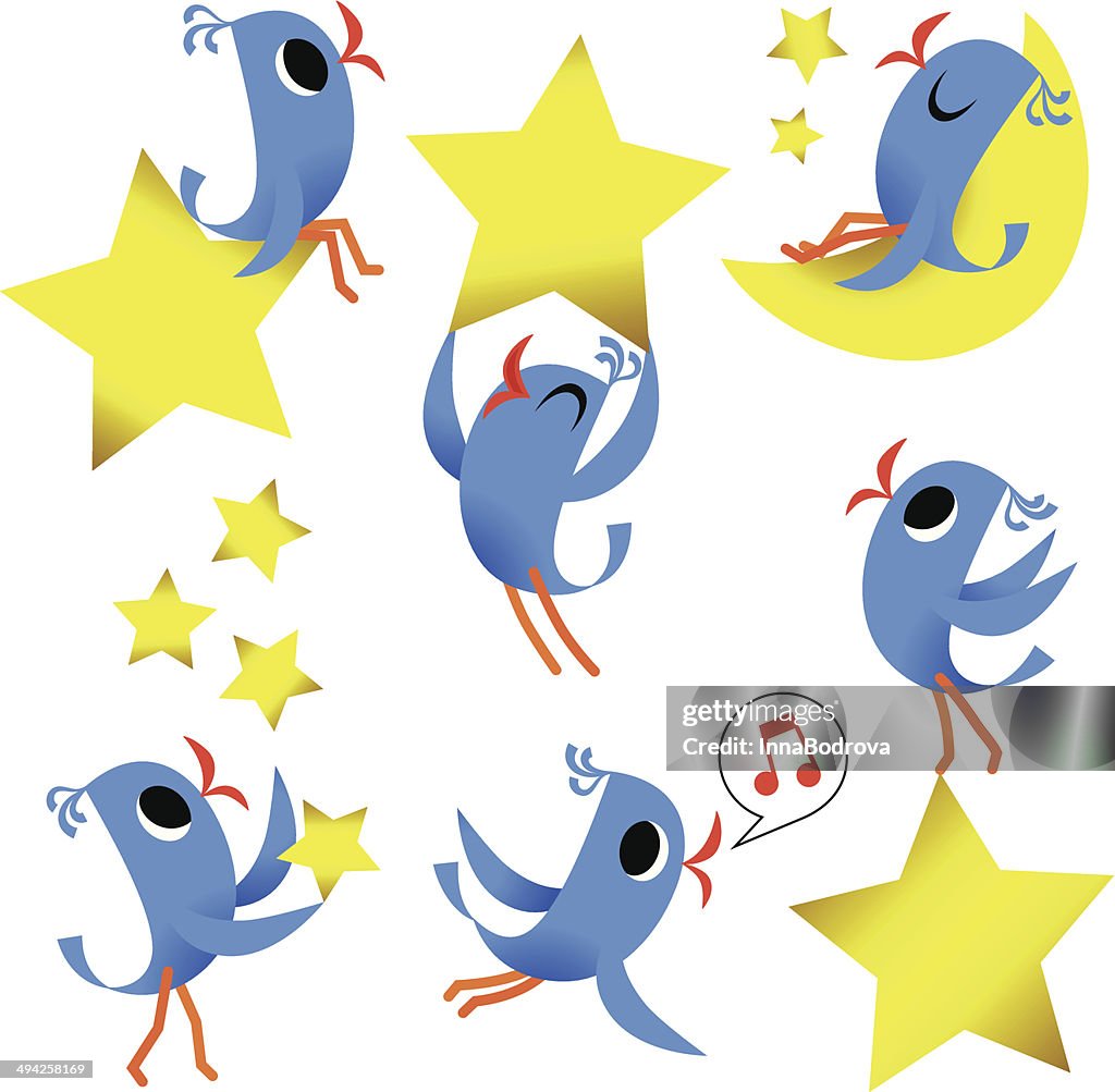 Pássaro e estrelas 10067662