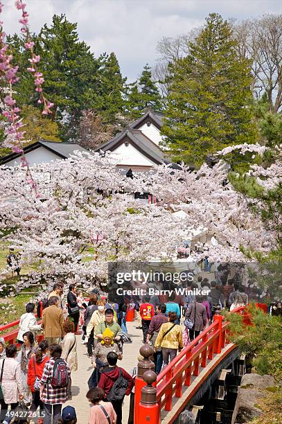 people crossing bridge in cherry blossom festival - 花見 ストックフォトと画像