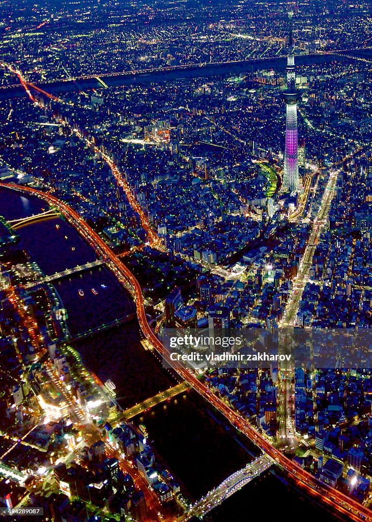 Aerial view of Tokyo Cityscape at night