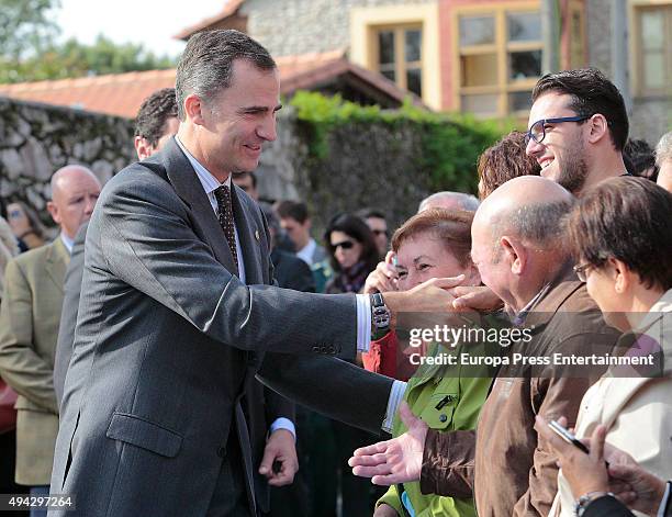 King Felipe of Spain visits 2015 Exemplary Town of Colombres on October 24, 2015 in Colombres, Spain. The village of Colombres was honoured as the...