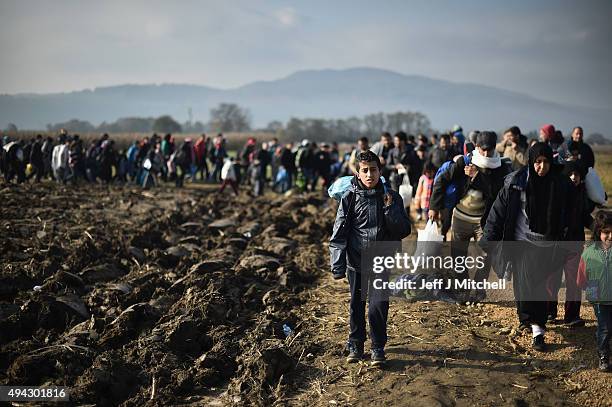 Migrants walk past farm fields as they are escorted by police towards buses which will take them to Brezice refugee camp on October 26, 2015 in...