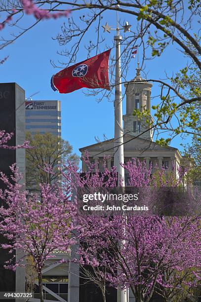 bicentennial mall state park, nashville - flag of tennessee stock pictures, royalty-free photos & images