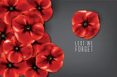 lest we forget - remembrance day