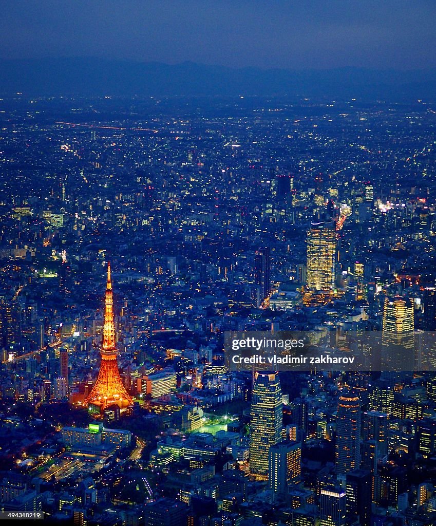 Aerial view of Tokyo downtown at twilight