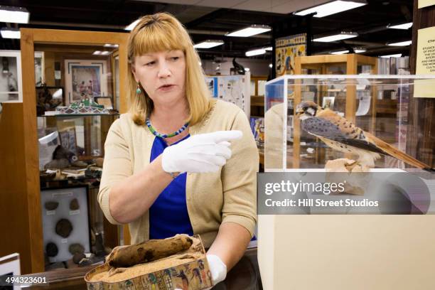 caucasian curator examining artifacts in museum - hawk protecting stock-fotos und bilder