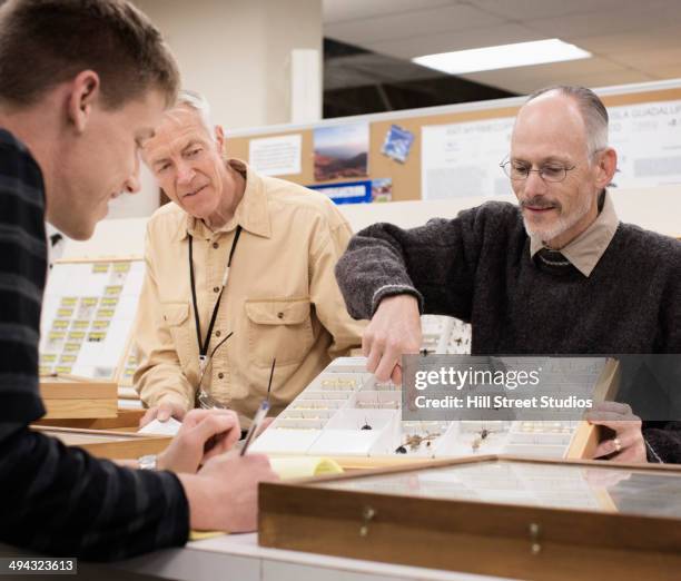 caucasian curator and student examining bug specimens - curator fotografías e imágenes de stock