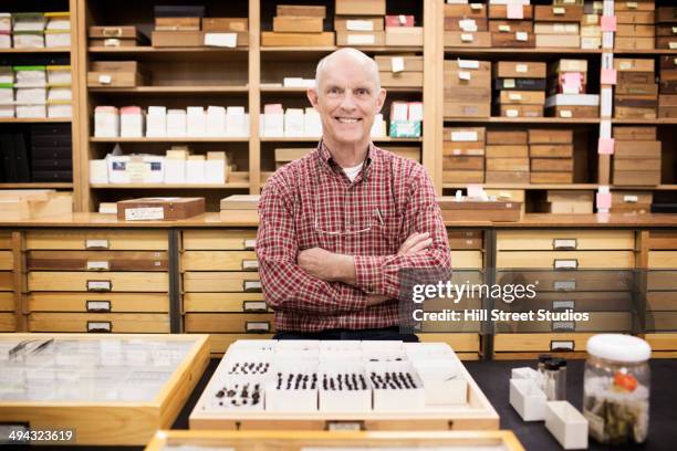 caucasian curator with bug specimens in museum - museumswärter stock-fotos und bilder