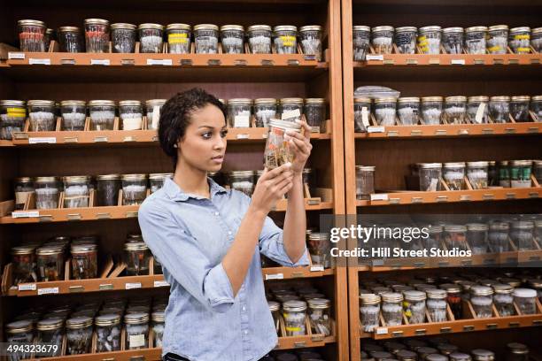 mixed race student examining specimens in museum - museumswärter stock-fotos und bilder