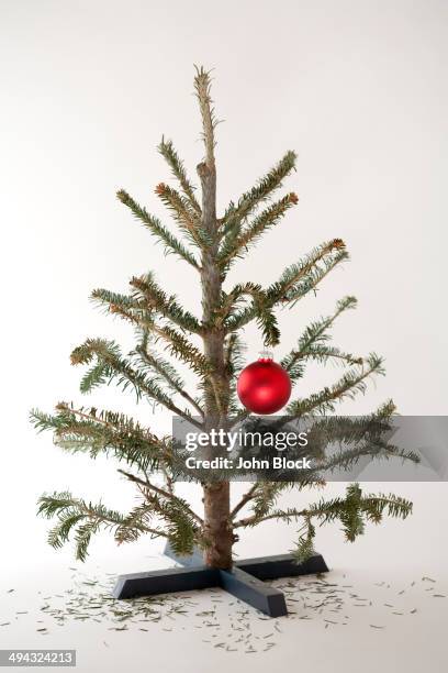 small christmas tree with single ornament - ausged�örrt stock-fotos und bilder