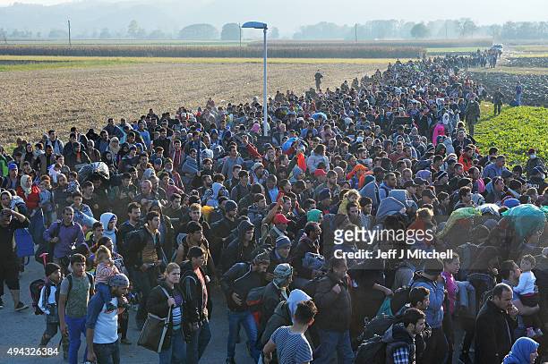 Migrants are escorted by police through fields towards a holding camp in the village of Dobova on October 26, 2015 in Rigonce, Slovenia. Thousands of...