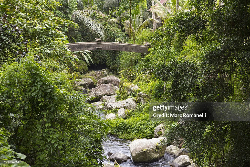 Rocky creek in tropical garden