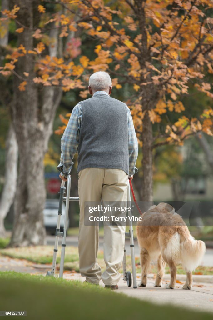 African American man using walker with dog